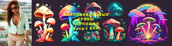 стаф Арсеньев