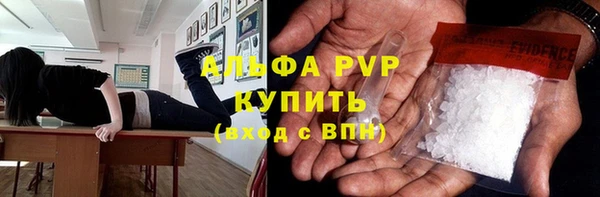 ПСИЛОЦИБИНОВЫЕ ГРИБЫ Осташков
