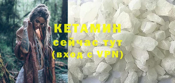 стаф Арсеньев