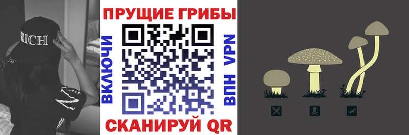 где продают   гидра как зайти  Галлюциногенные грибы ЛСД  Сальск 